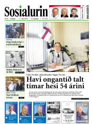 Síða 1