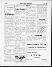 Síða 3