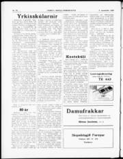 Síða 2
