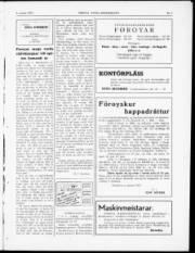 Síða 3