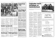 Síða 3
