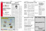 Síða 3