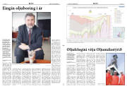 Síða 11