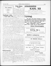 Síða 3