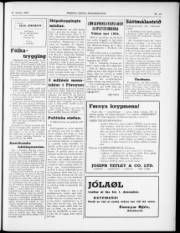 Síða 3