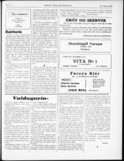 Síða 3