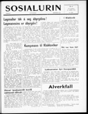 Síða 1