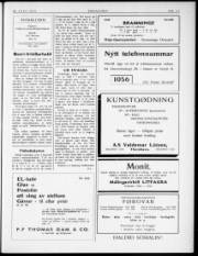 Síða 3