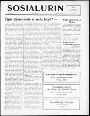 Síða 1