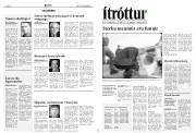 Síða 18