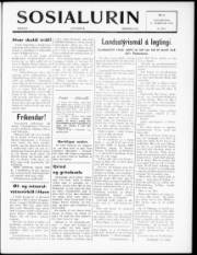 Síða 1
