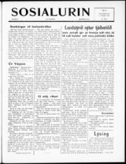 Síða 1