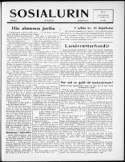 Síða 1