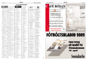 Síða 25