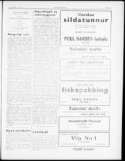 Síða 3