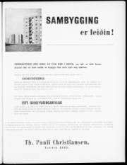 Síða 3