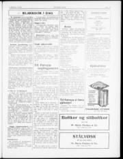 Síða 3