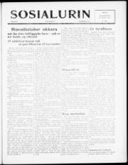Síða 1