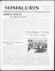 Síða 1