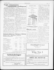 Síða 3