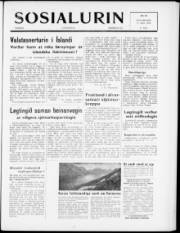 Síða 1