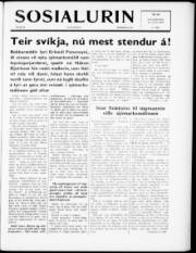 Síða 1