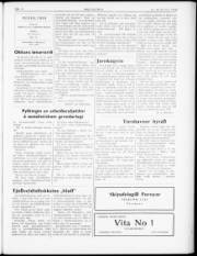 Síða 3