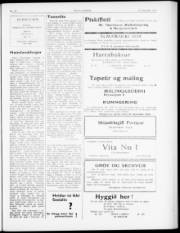 Síða 3