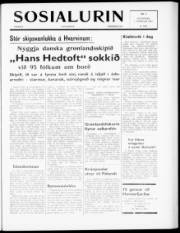 Síða 1