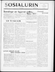 Síða 1
