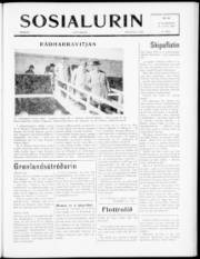 Síða 1