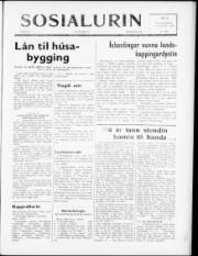 Síða 1