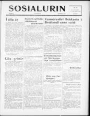 Síða 1