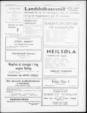 Síða 3