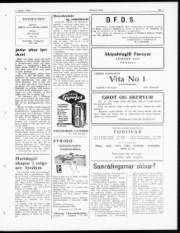 Síða 3