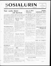 Síða 1