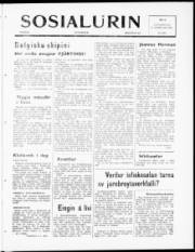 Síða 1