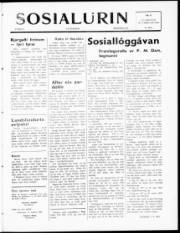 Síða 1
