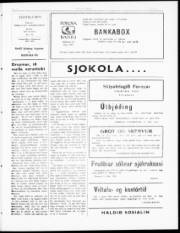 Síða 3