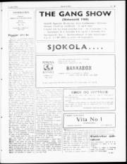 Síða 3