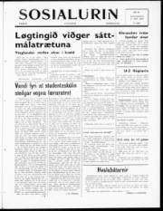 Síða 1