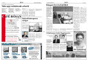 Síða 3