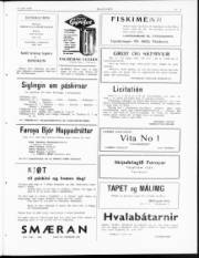 Síða 3