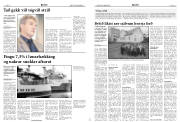 Síða 8