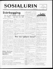 Síða 1