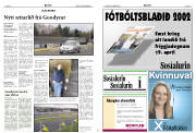 Síða 14