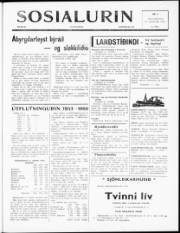 Síða 1