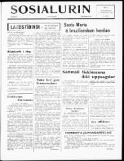 Síða 1