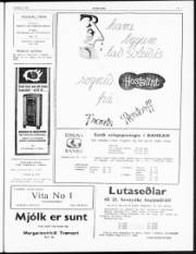 Síða 3