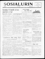 Síða 1